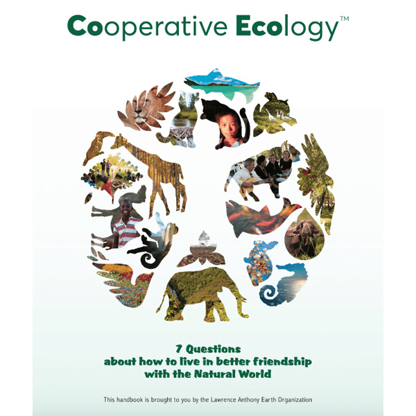 COVER-OF-CO-ECO---7-QUESTIONS