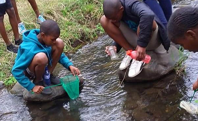 SA-Camp-Students-studying-water-life