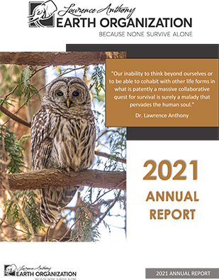 2021-Annual-Report-Final-1